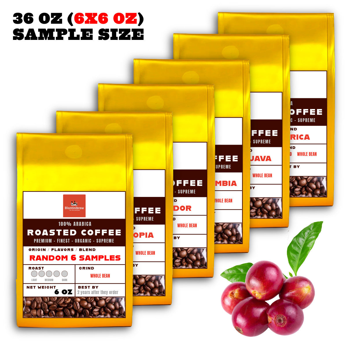 36OZ Random 6 x 6 OZ Sample Size Coffee Beans Roasted Espresso Coffee Supreme Finest Artisan Beans vary from Vanuatu Sumatra Ethiopia Brazil Kenya Colombia Guatemala Burundi Costa Rica East Java El Salvador Honduras etc